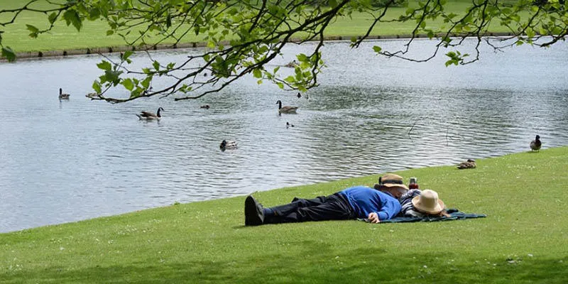 Такой способ релаксации предпочитают американские бизнесмены, чья креативная энергия теряется в рутине дедлайнов и встреч. Ничего не делайте