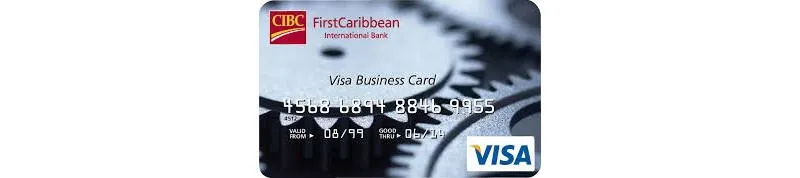 Карта Виза Бизнес Visa Business-1