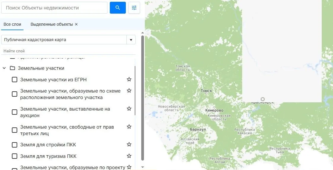 Публичная кадастровая карта (скриншот с nspd.gov.ru)