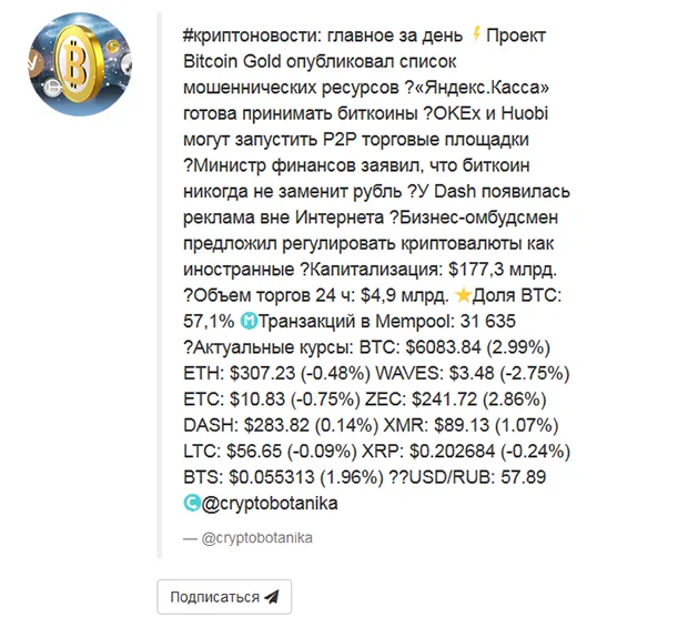 Криптоботаника - какую информацию можно найти
