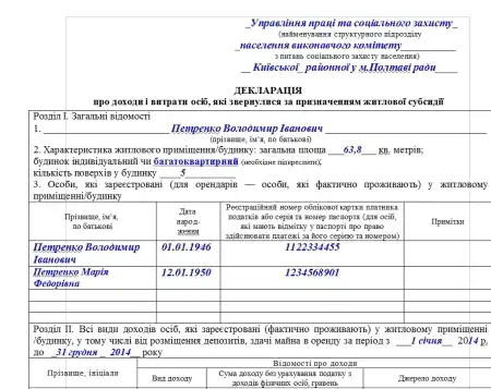 Пример заполнения декларации на субсидию