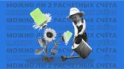  Можно ли иметь два расчетных счета?