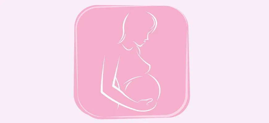 Где взять кредит в декретном отпуске?