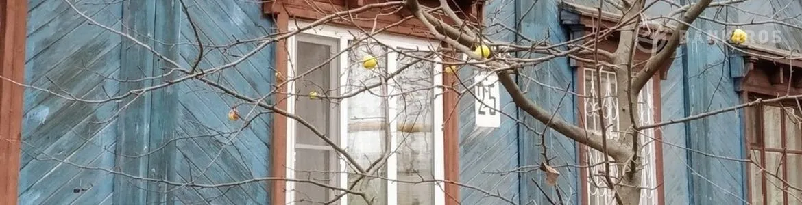 Принудительное расселение граждан могут узаконить в России