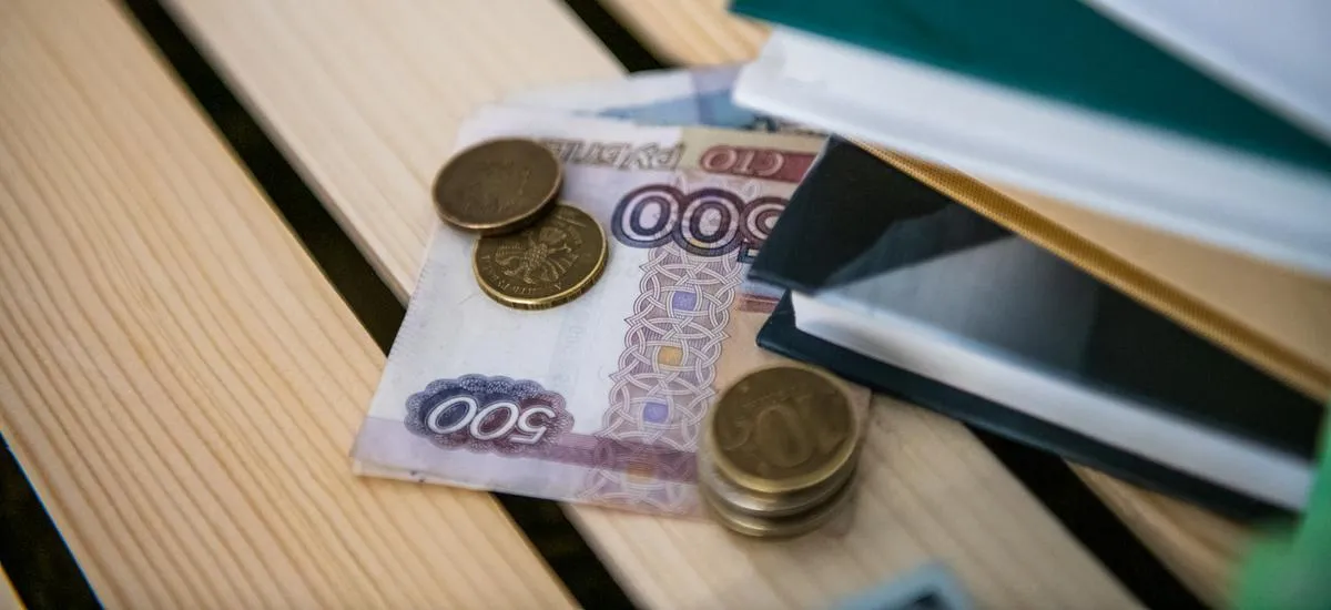 Повседневные расходы, техника и лечение: на какие траты россияне берут микрозаймы?