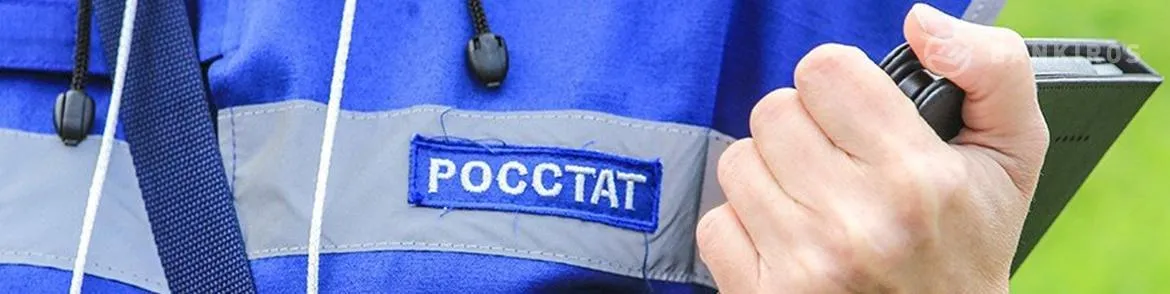 Росстат вновь уличили в махинациях со статистическими данными