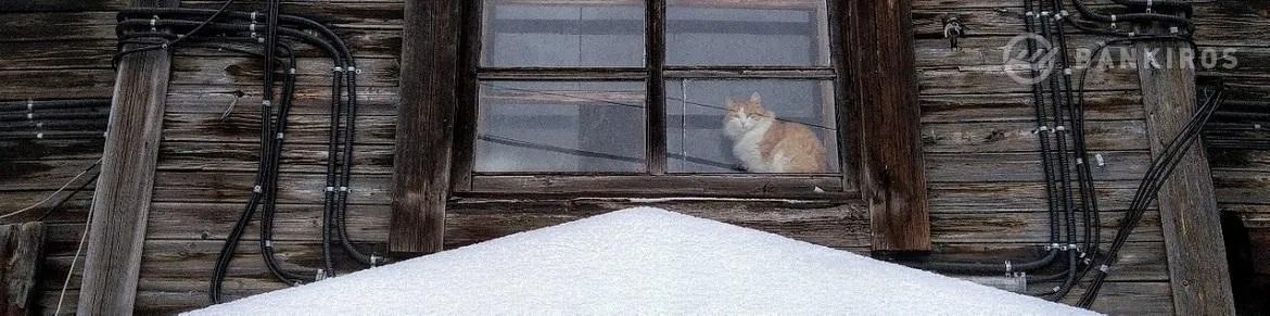 Новая льгота для дачников: кому вернут до 260 тысяч рублей?