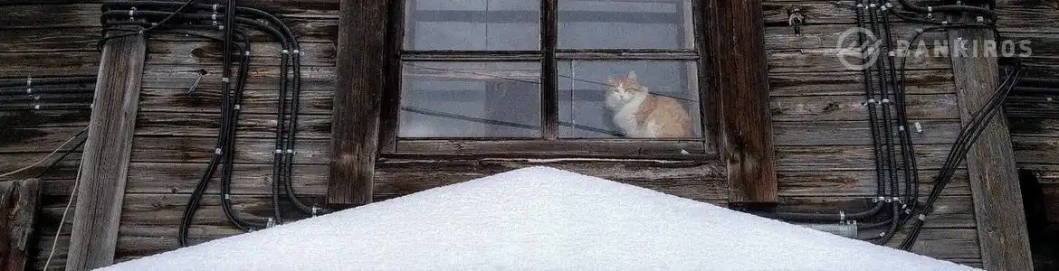 Правительство России нашло деньги на расселение ветхого жилья