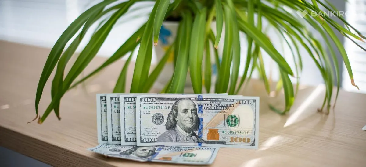 Валюта отдыхает в майские праздники: почему падает доллар и когда это закончится?