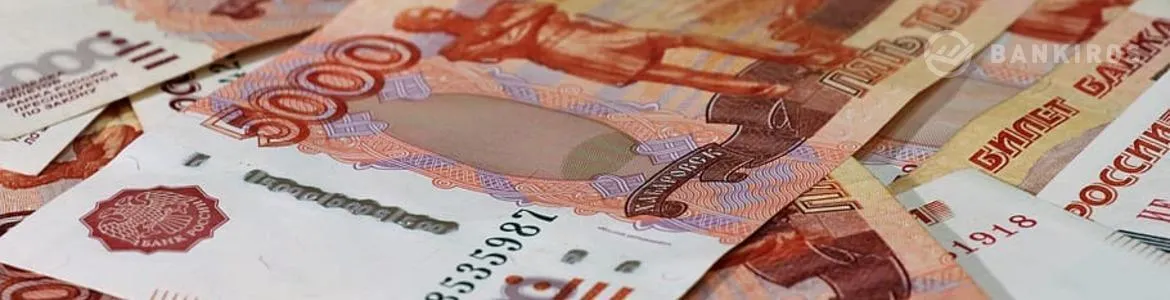 Депутаты хотят снова раздать денег россиянам