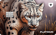 Платинум (с безопасной доставкой карты)